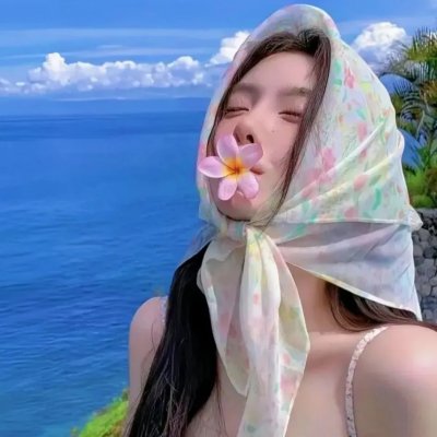 征服北极的人